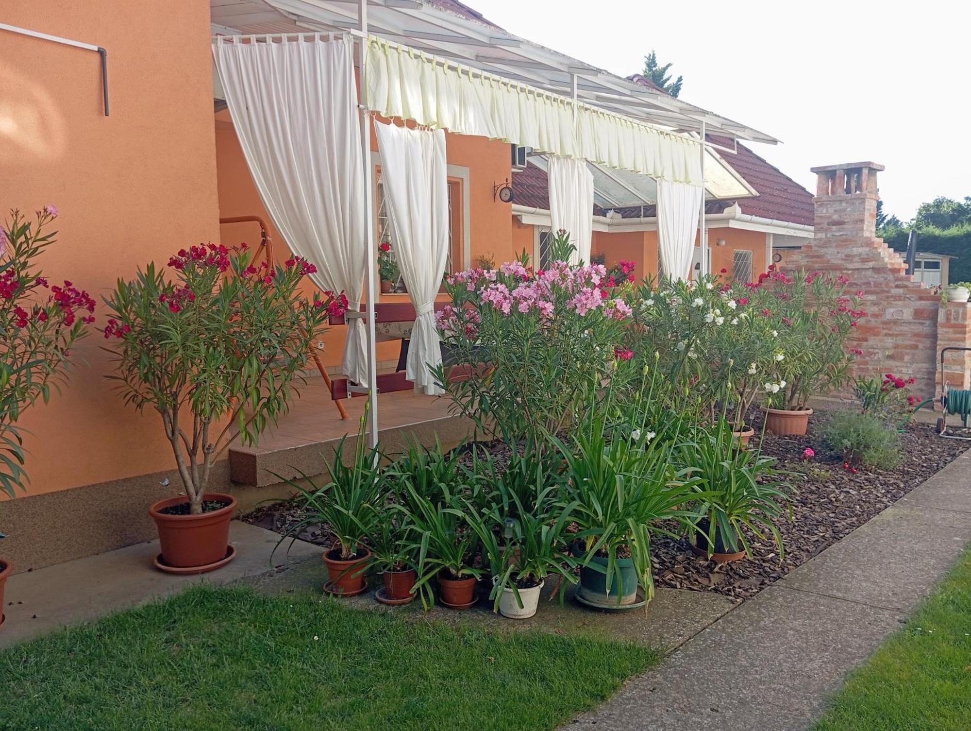 Marika Apartman Hajduszoboszlo Exterior photo
